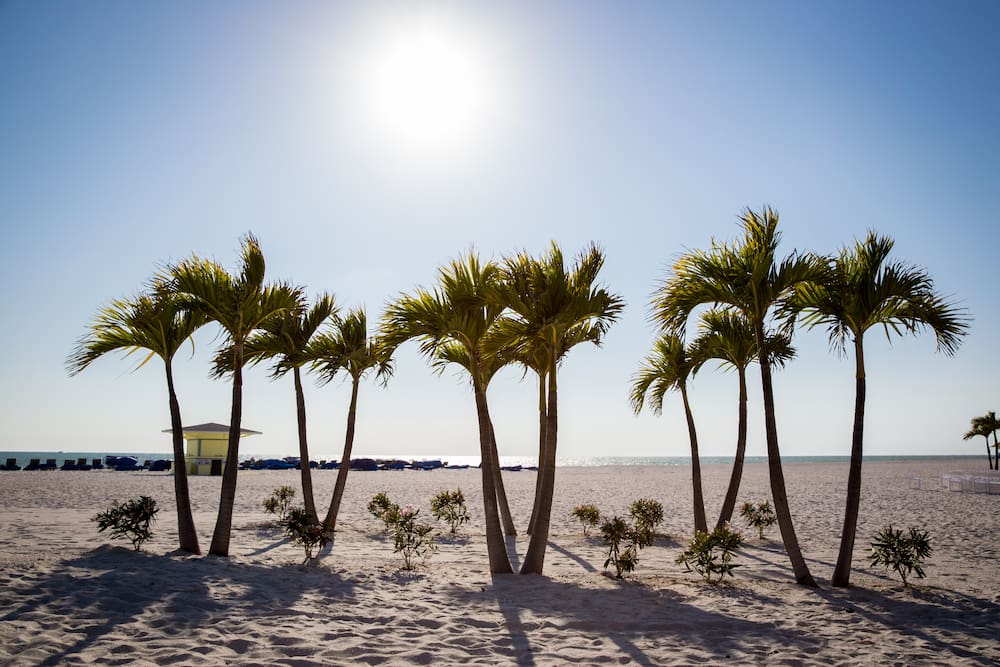 beach in tampa florida with palm trees-consider the weather before moving to tampa