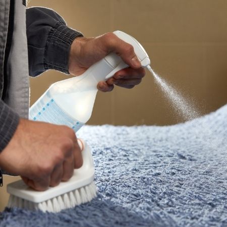 cleaning rug with brush and water