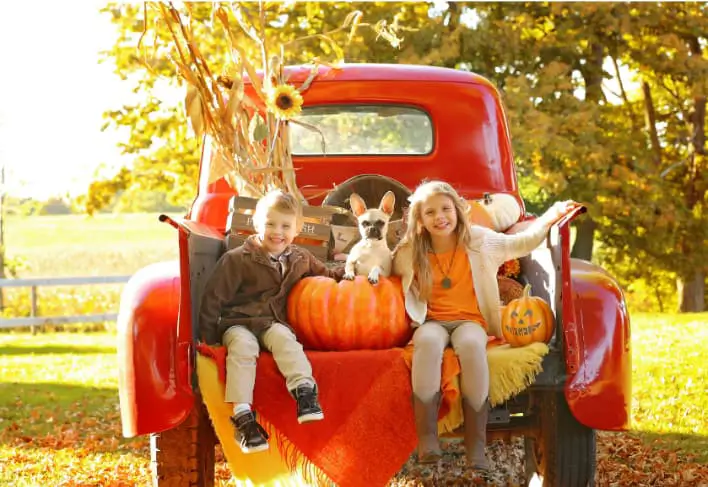 Two kids and a dog sitting in a red truck with pumpkins.