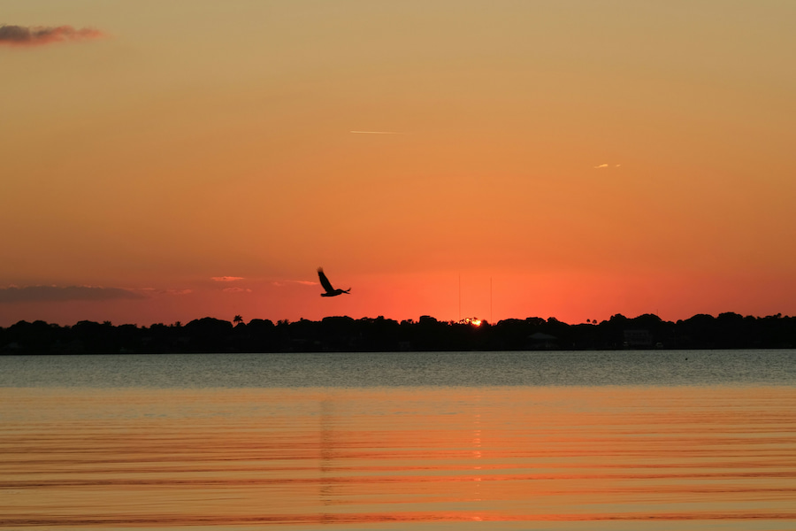 Serene Florida sunset over a calm lagoon, lone bird in flight, near Port St Lucie, FL, home to store space self storage, at 8770 NW Glades Cut Off Rd