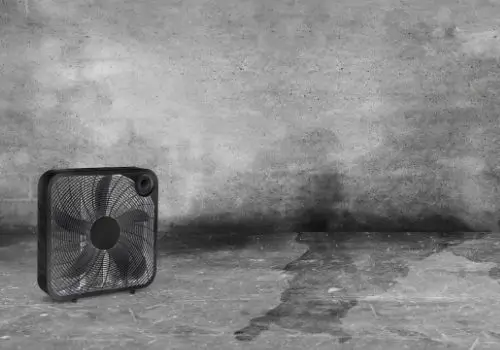 fan in a basement