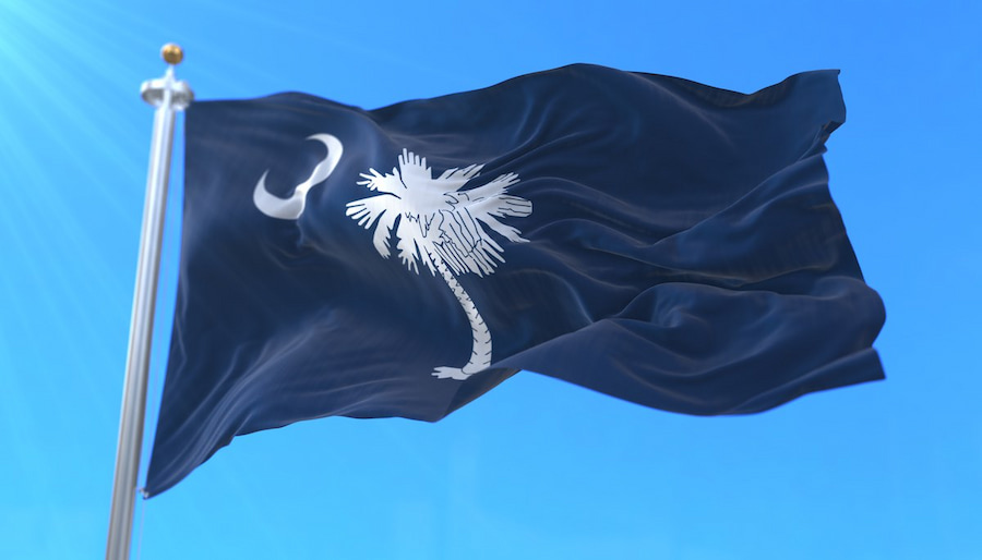 south carolina state flag