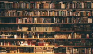books on shelves for long term storage