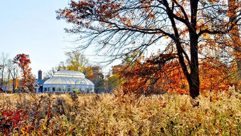 greenhouse in hillsborough nj