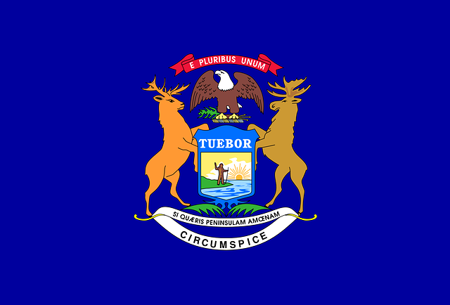 graphic of flag of state of michigan