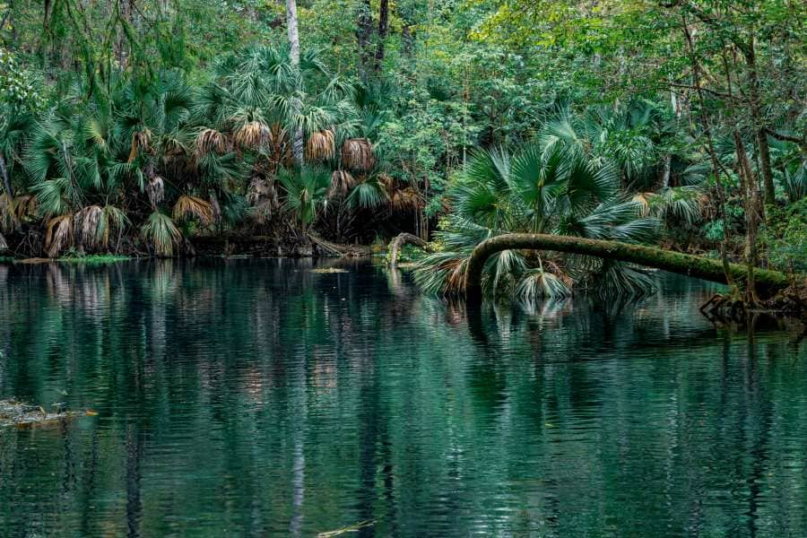 beautiful water ocala florida