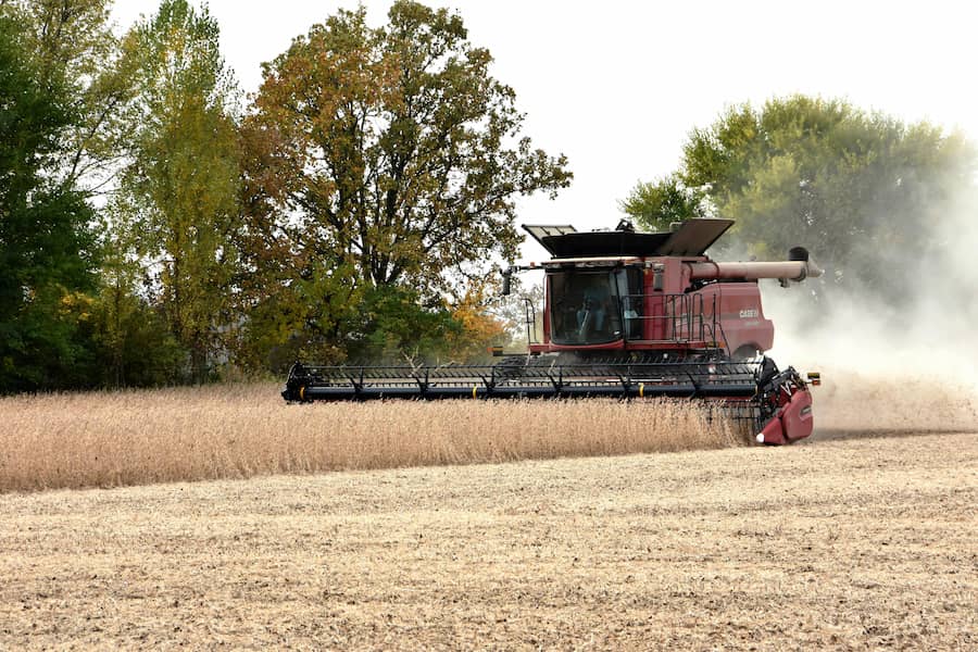 soybean harvesting near minooka, il